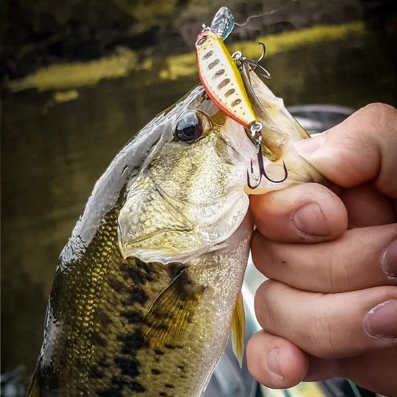 TSURINOYA - Intruder 51S