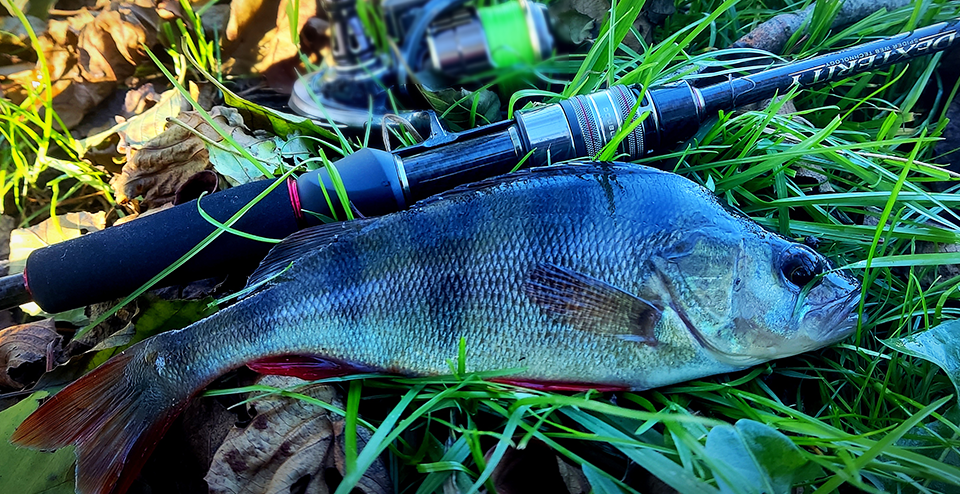 TSURINOYA - Dexterity II