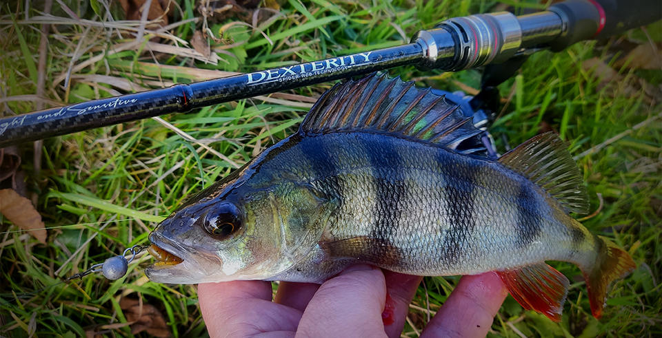 TSURINOYA - Dexterity II