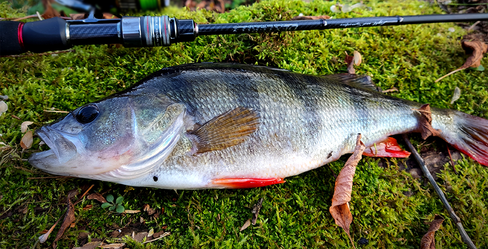 TSURINOYA - Dexterity II