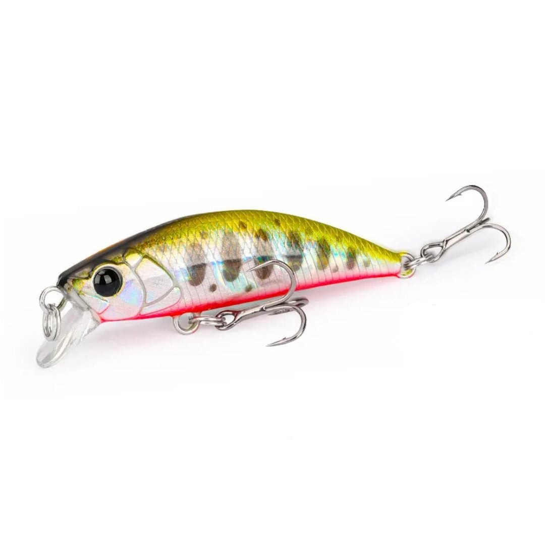 TSURINOYA - Intruder 50 S