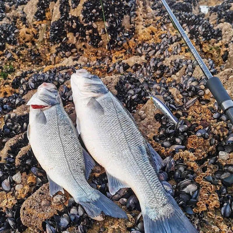 TSURINOYA - Stinger 120F