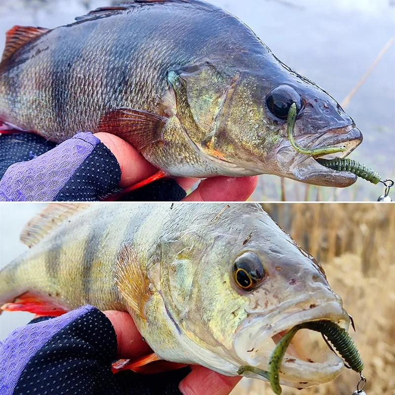 TSURINOYA - SoftBait - Grub Worm Bounden 40pz