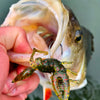 GAMAKATSU - Worm 330 Bottom Jigging 6pz