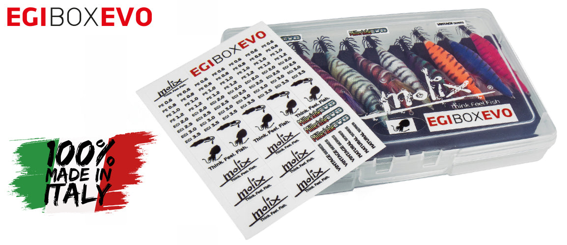 MOLIX - Egi Box EVO