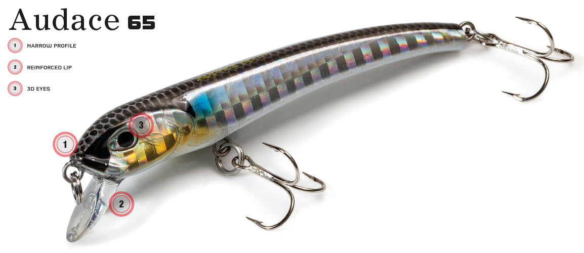 MOLIX - Audace 55-65
