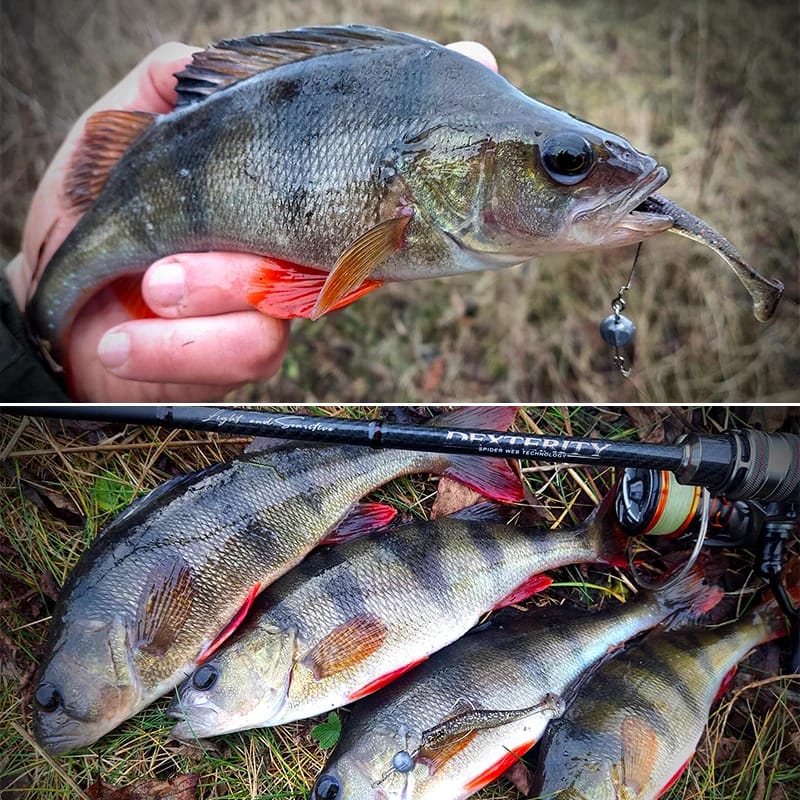 TSURINOYA - Thallo 65 - T-Tail Worm