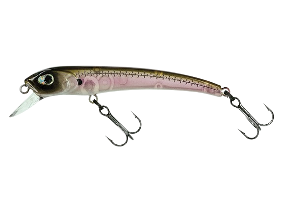 MOLIX - Audace 55-65