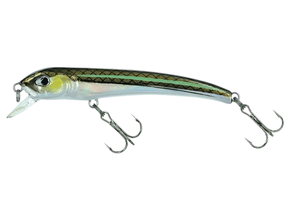 MOLIX - Audace 55-65