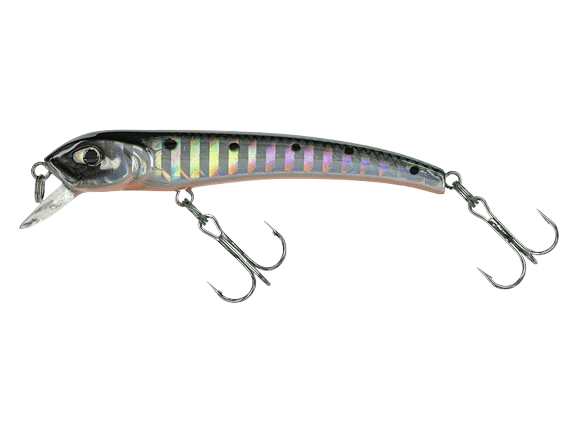 MOLIX - Audace 55-65