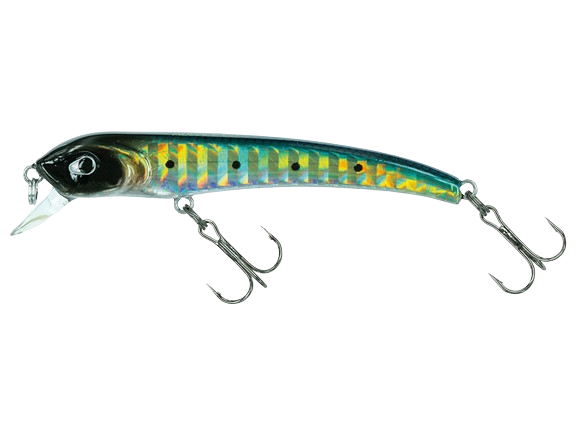 MOLIX - Audace 55-65