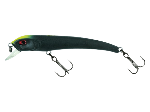 MOLIX - Audace 55-65