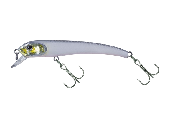 MOLIX - Audace 55-65