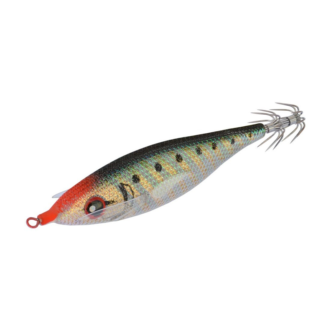 DTD - Ball-X Zebra Transparent