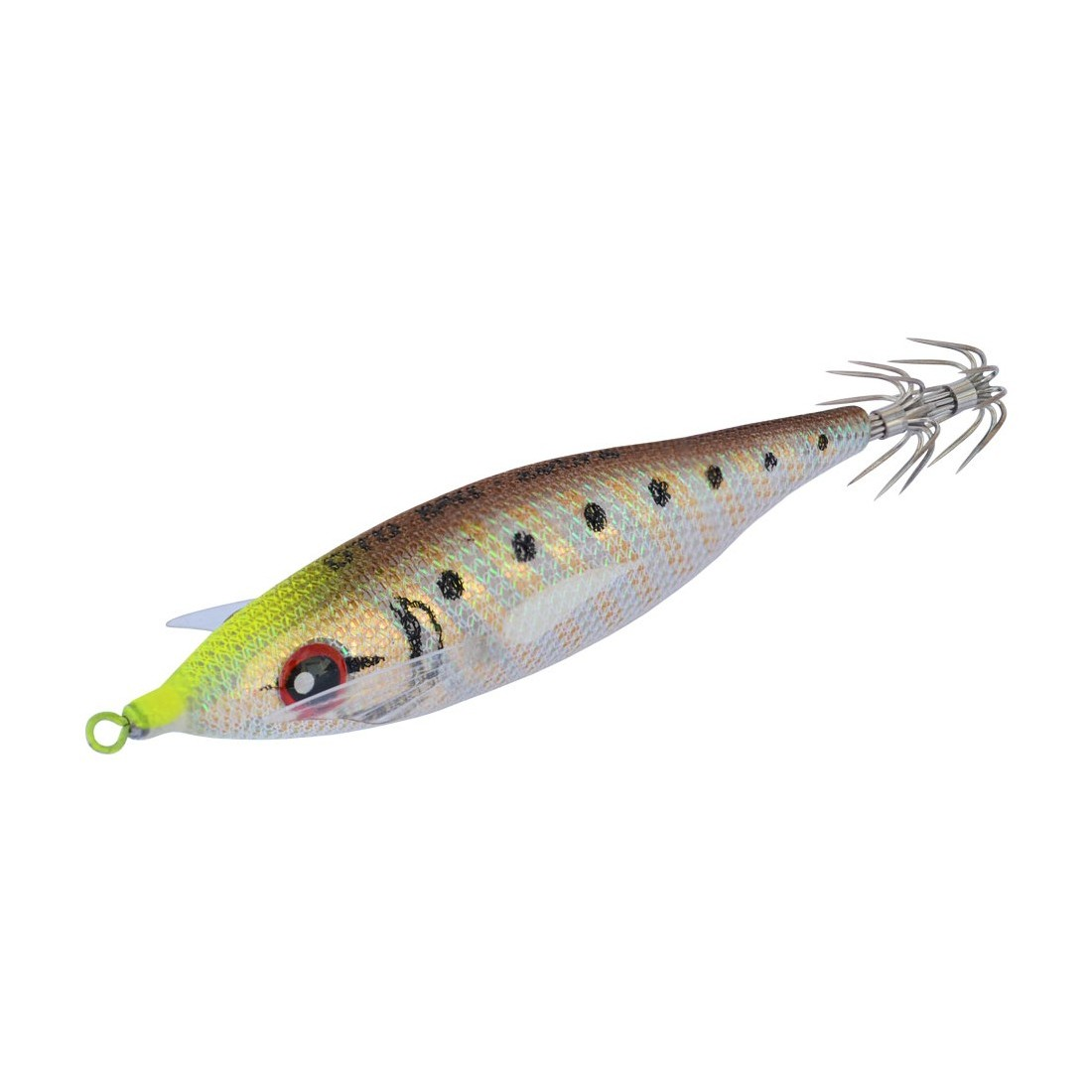 DTD - Ball-X Zebra Transparent