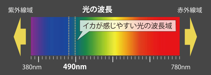 YAMASHITA - Egi OH-K 490Glow
