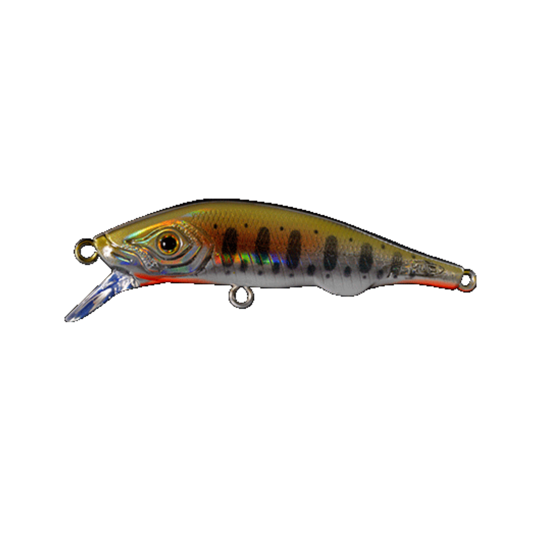 FISHUS -  Espetit Jerk SK