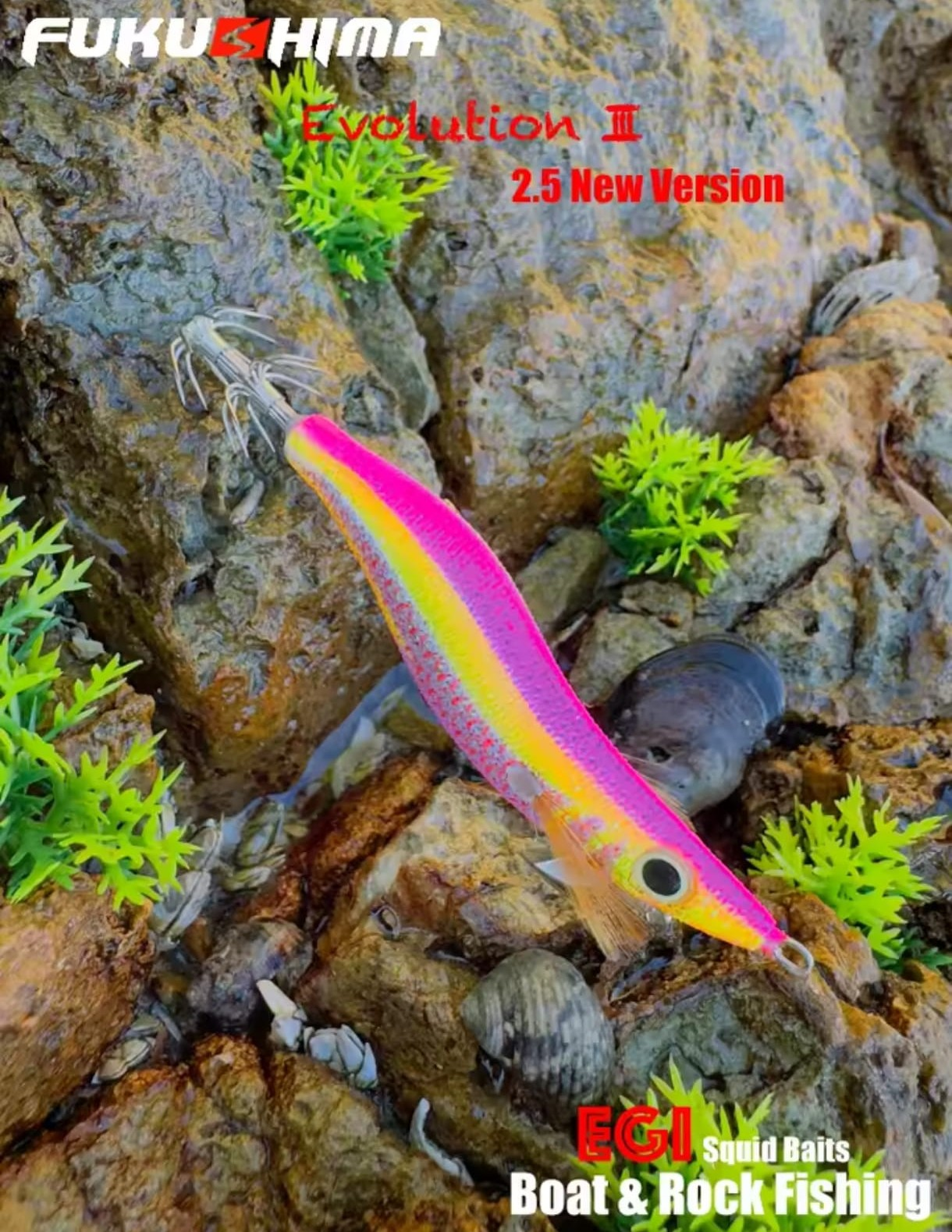 FUKUSHIMA - Zeek Evolution III New Edition