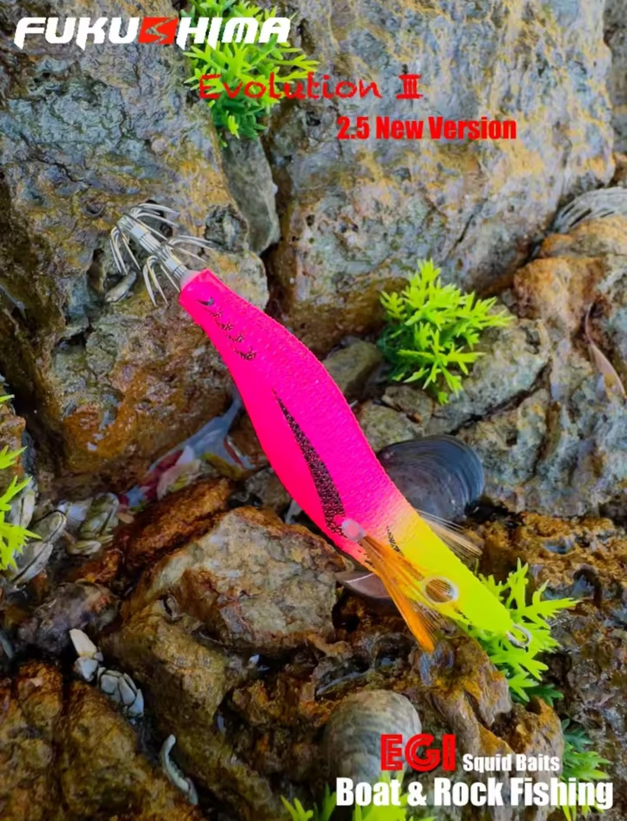 FUKUSHIMA - Zeek Evolution III New Edition
