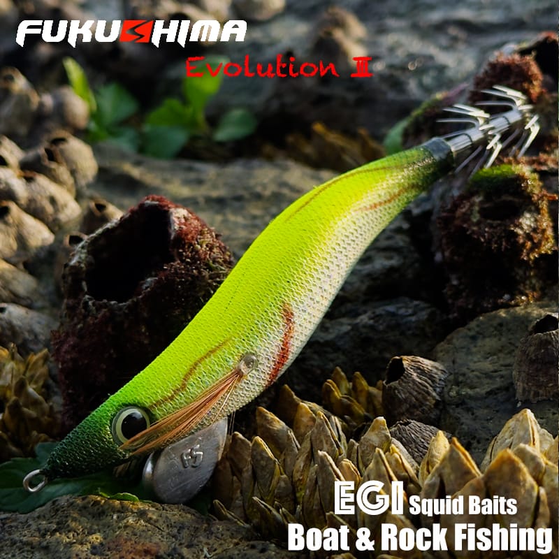 FUKUSHIMA - Zeek Evolution III R 3.5