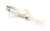 GT_BIO - Kalamy Squid