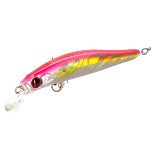 HUNTHOUSE - Artist Minnow