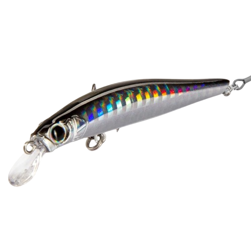 HUNTHOUSE - Artist Minnow