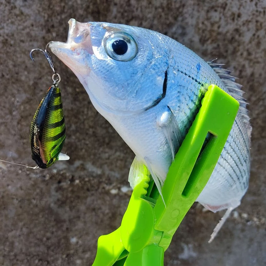 TSURINOYA - Magician 50F