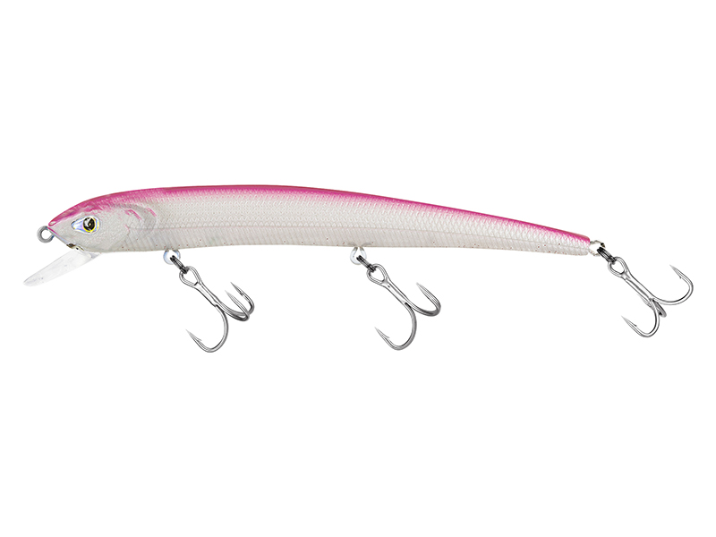 MOLIX - Audace Evo 130