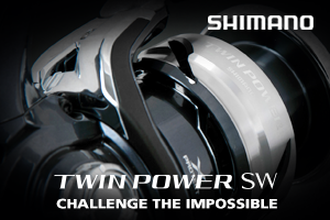 SHIMANO - Twin Power SW C