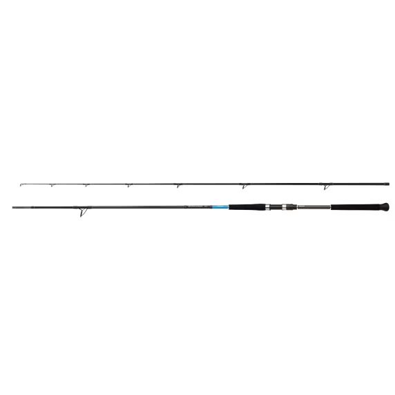 SHIMANO - Canna Bassterra XT Shore Jigging