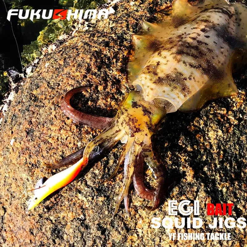 FUKUSHIMA - Egi Bait