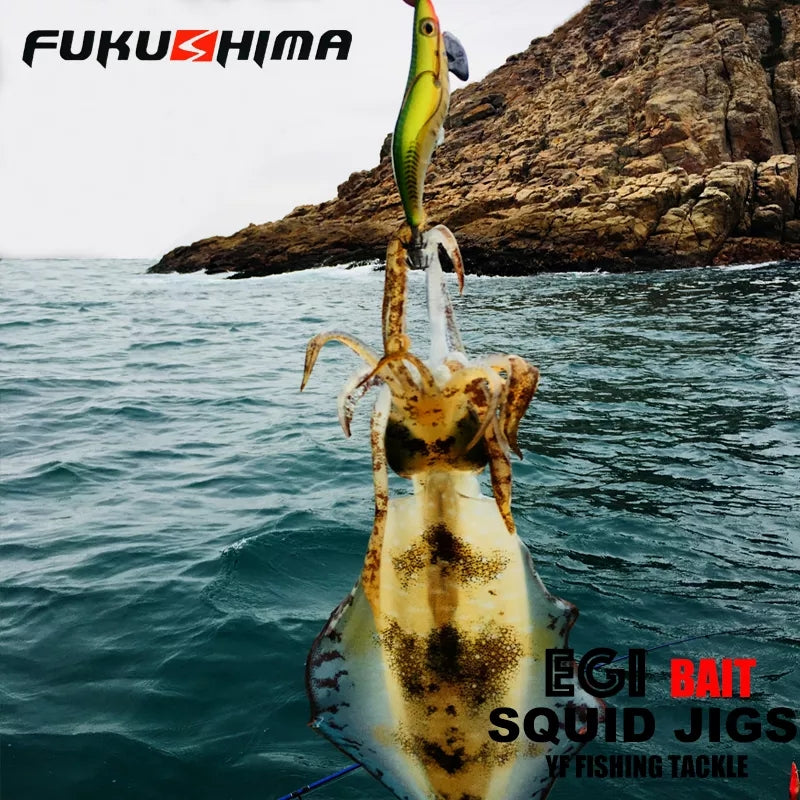 FUKUSHIMA - Egi Bait