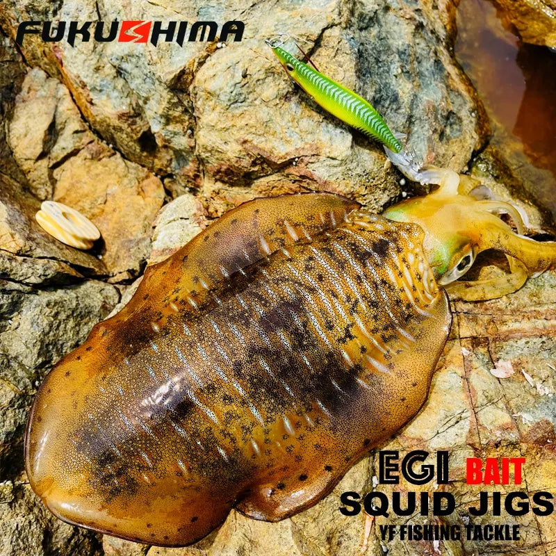FUKUSHIMA - Egi Bait